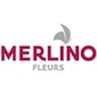 MERLINO FLEURS logo - Similar company to Narmino Monaco