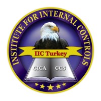 IIC TURKEY - İÇ KONTROL DERNEĞİ logo - Similar company to Internal Control Institute