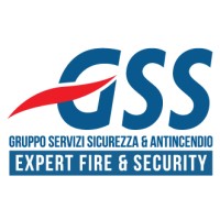GSS FIRE SECURITY, HEALTH & SAFETY logo - Similar company to Professione Sicurezza Srl