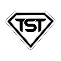 The Solutions Team Sa