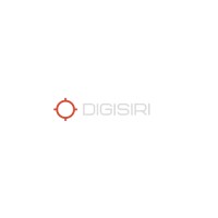 Digisiri Agency logo - Similar company to Flex Media Group