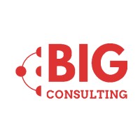 B.I.G. Consulting logo - Similar company to Clearseed Partners