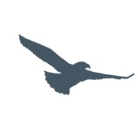 Dew-Point International Ltd. logo - Similar company to 香港中華廠商聯合會 (Cma)