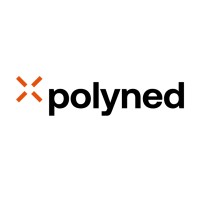 Polyned logo - Similar company to Sandd