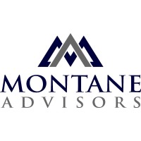 Montane Advisors, LLC logo - Similar company to Lworks
