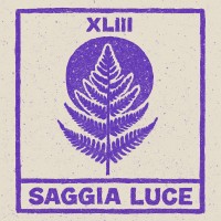Saggia Luce logo - Similar company to Iotoak