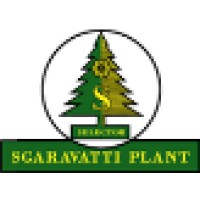 Sgaravatti Plant S.r.L. logo - Similar company to Gruppo Cifolelli