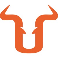iBullCapital logo - Similar company to Solidary Prime