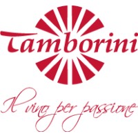 Tamborini Carlo SA logo - Similar company to Arvi Sa