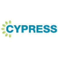 Cypress Associates Inc. logo - Similar company to Rainwater Business Advisors