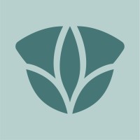 The Lotus Collective logo - Similar company to Precision Cardiovascular