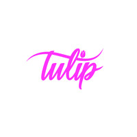 Tulip Global Industries (Pvt) Ltd. logo - Similar company to Km Food Industries
