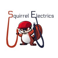SQUIRREL ELECTRICS logo - Similar company to Letman Group Limited