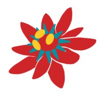 CeMAIS logo - Similar company to Instituto Elo