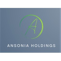 Ansonia Holdings Singapore BV logo - Similar company to Khosrowshahi Dara