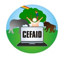 Cefaid