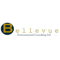 Bellevue Environmental Consulting Ltd logo - Similar company to Armila Sustainability Services