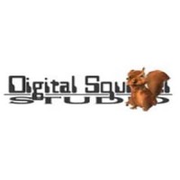 Digital Squirrel Studio