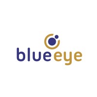 BLUE EYE MANAGEMENT SERVICES PVT. LTD. logo - Similar company to Partake Consulting Gmbh