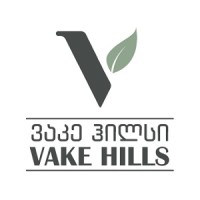 Vake Hills • ვაკე ჰილსი logo - Similar company to Blank