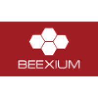Beexium logo - Similar company to Techietory