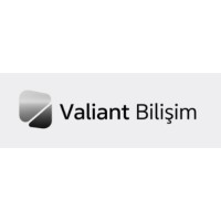 Valiant Bilişim logo - Similar company to Lotus Akademi