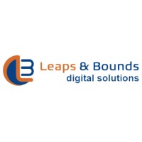 Leaps and Bounds Digital Solutions LLP (LnB Digital Solutions) logo - Similar company to Saroti