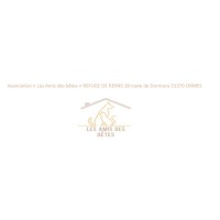 Les amis des bêtes (Refuge de Reims) logo - Similar company to Nikec Solutions
