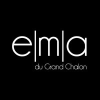 ECOLE MEDIA ART DU GRAND CHALON logo - Similar company to Esadtpm
