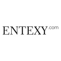 Entexy logo - Similar company to What The Flutter