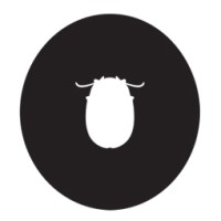 nvstudio logo - Similar company to Aquela Kombucha