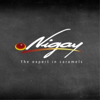 Nigay logo - Similar company to Formatik | École Cybersécurité & It