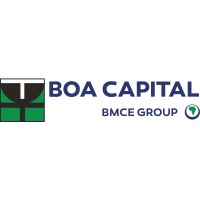 BOA Capital logo - Similar company to Matha Securities