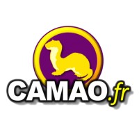 Camao logo - Similar company to Skilltofit
