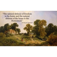 Catholic Land Movement logo - Similar company to Mycatholicwill.Com