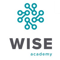 Wise Academy logo - Similar company to Telma Carreira Curado & Associados - Sroc, Lda.