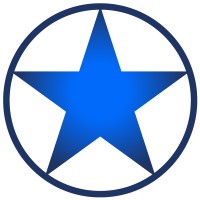 Blue Star Security logo - Similar company to Protos Security