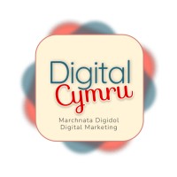 Digital Cymru logo - Similar company to Llesiant Delta Wellbeing