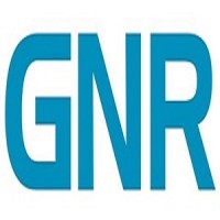 GNR - Global Network Recruiting logo - Similar company to Freeverse