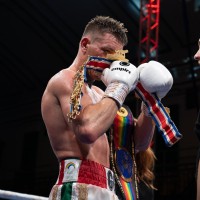 EMPIRE FIGHT STORE logo - Similar company to Walter Denim