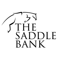 The Saddle Bank logo - Similar company to Lmg Fire & Compliance