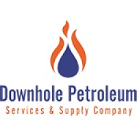 Downhole Petroleum logo - Similar company to Tera Energy
