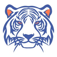 Blue Tiger Consulting, ERP Program & Project Management logo - Similar company to Flat Iron Consulting Solutions Llc