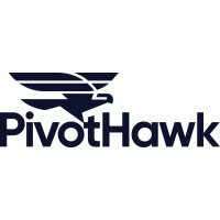 PivotHawk logo - Similar company to Artaxe Electronics