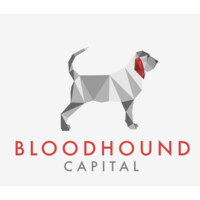 Bloodhound Capital, LLC logo - Similar company to Armilla