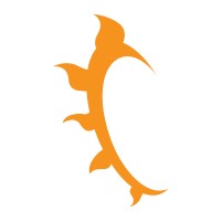 Agência de Marketing Digital Sunset Web logo - Similar company to Parnes Agência De Marketing