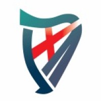 London Irish Partners logo - Similar company to Assembld