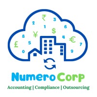 Numero Corp logo - Similar company to Finavi Cfo Pvt Ltd