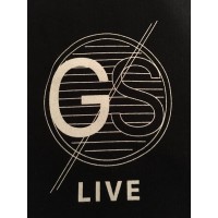 GS LIVE SERVICES logo - Similar company to Teatro Testoni
