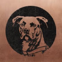 The Underdog Agency
